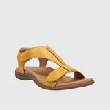 מיכל סנדלים