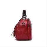 תיק רב כיסים של טל